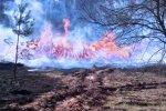 Пожар в Зоне отчуждения. Фото: Страна