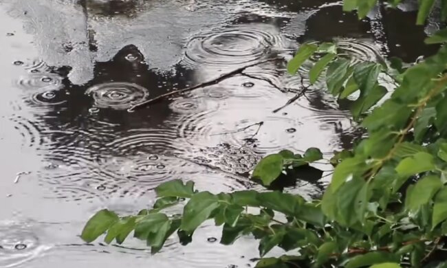 Дождь.  Фото: скриншот YouTube-видео