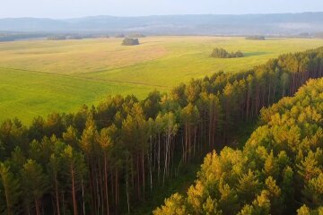 Осень. Фото: скриншот YouTube-видео