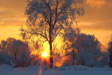 Природа. Фото: скріншот YouTube-відео