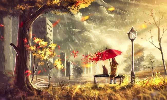 Погода на 24 ноября 2019 года