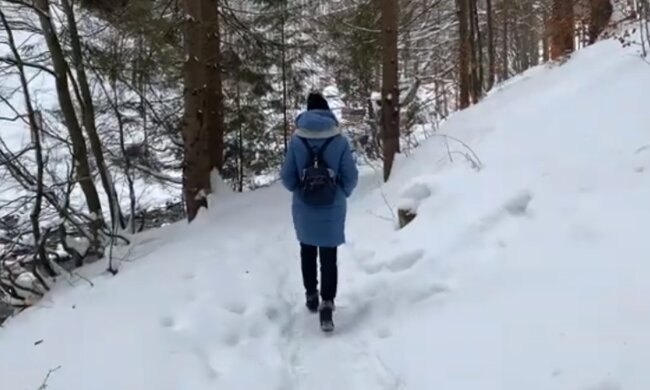 Прогулка зимой. Фото: скриншот YouTube-видео