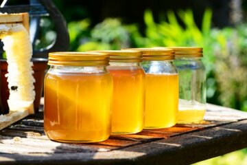 Мед. Фото: YouTube