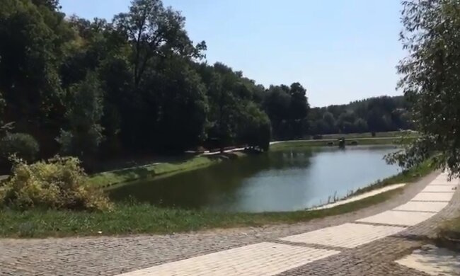 Природа. Фото: скриншот YouTube-видео