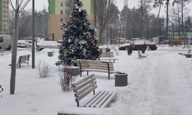 Ожеледиця та сніг по всій Україні: що чекати від погоди вночі та 8 лютого