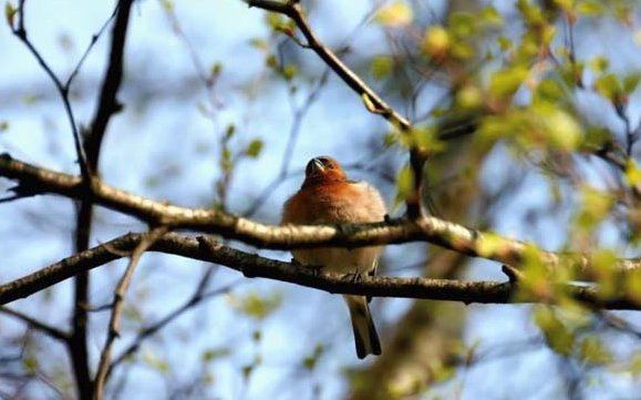 Погода весной. Фото: Дело