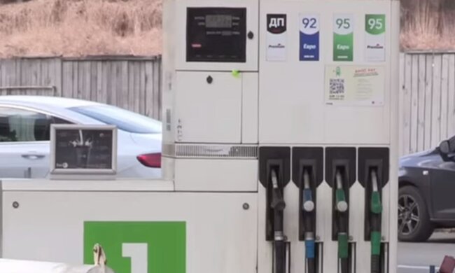 Дизель знову подорожчав - актуальні ціни на АЗС 30 березня. Фото: скріншот YouTube-відео