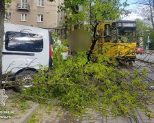 Негода, буревій, зламані дерева. Фото: Telegram