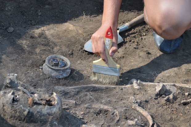 Найдены следы древних предков человека: заявление ученых