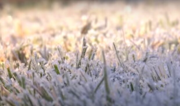 Заморозки. Фото: скриншот видео