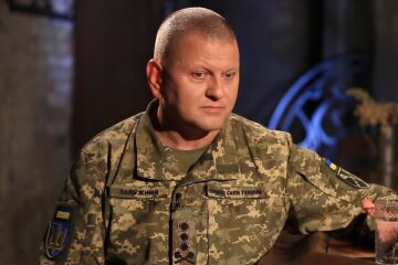 Валерій Залужний. Фото: скріншот з відео YouTube