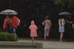 Дождь летом. Фото: скриншот YouTube-видео