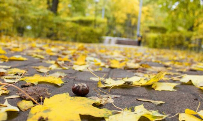 В Киеве опять потеплеет: прогноз погоды на 22 сентября