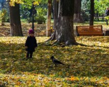 Такой осенью можно наслаждаться вечно: погода на выходные дни в Киеве