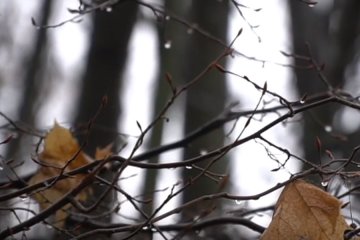 Последний день зимы будет пасмурным, фото: Скриншот YouTube