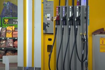 Цена на автомобильное топливо. Фото: Факты, скрин