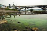 Экологи узнали и рассказали почему в Днепре стало меньше воды.