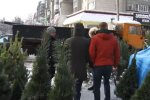 Продажа елок. Фото: скриншот YouTube-видео