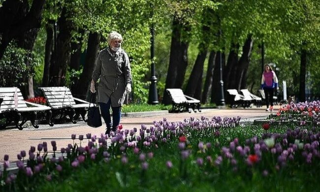 Предлагают бесплатную помощь на улице: в Киеве псевдоволонтеры устроили охоту на пенсионеров