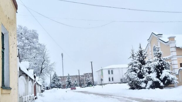 Зима, морози, погода. Фото: Стіна