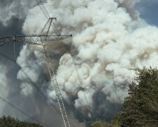 Пожежа в зоні відчуження ЧАЕС. Фото ДСНС Київщини 