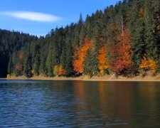 Природа Карпат восени. Фото: скріншот YouTube-відео