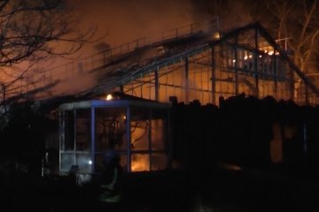 В немецком городе Крефельд вспыхнул пожар в зоопарке, скриншот YouTube