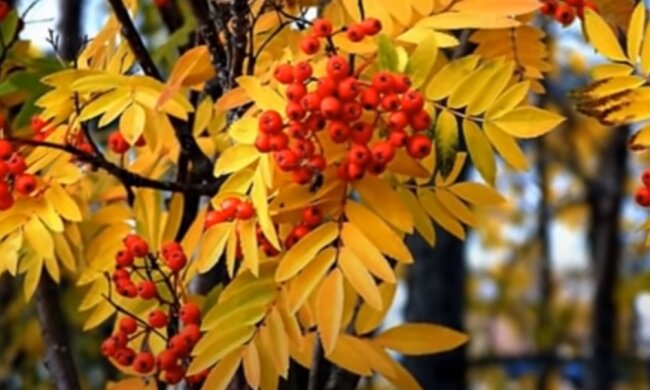 Погода на 18 сентября 2020 года