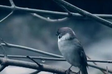 Погода на 29 декабря 2020 года