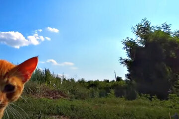 Погода в Україні. Фото: скріншот YouTube-відео.