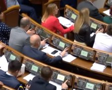 Народный депутат заговорила о зарплате, фото: Скриншот YouTube