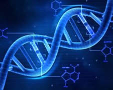 Генетический код, сгенерированный компьютером, станет основой новых форм синтетической жизни