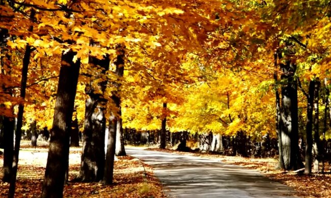 Прогноз погоды. Фoто: скриншот Youtube