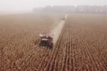 Земля. Фото: скриншот YouTube-видео