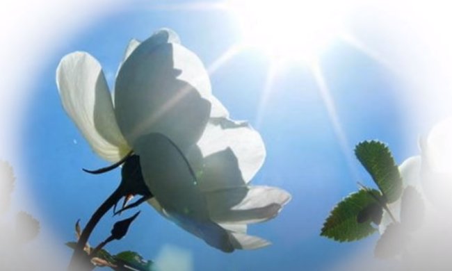 Погода на 29 апреля 2020 года