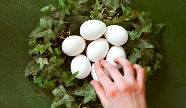 Блюда из яиц - рецепта с пошаговыми фото