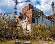 В Чернобыльской зоне заметили растущее медвежье ухо. Фото