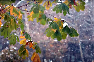 Погода в Украине. Фото: скриншот YouTube-видео.