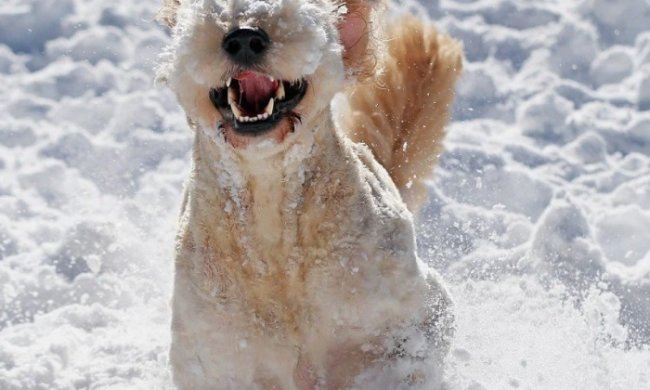 В "Нафтогазе" рассказали, где взять денег на оплату коммунальных услуг. Фото иллюстративное