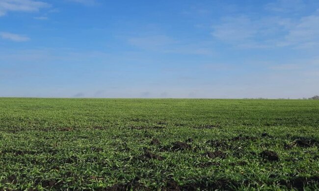 Весна. Фото: Стена