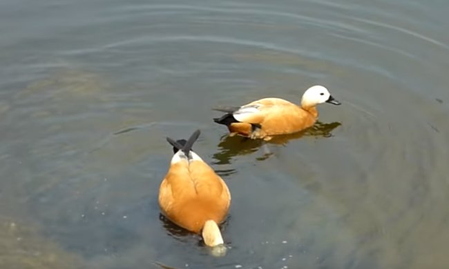 Погода на 8 января 2020 года