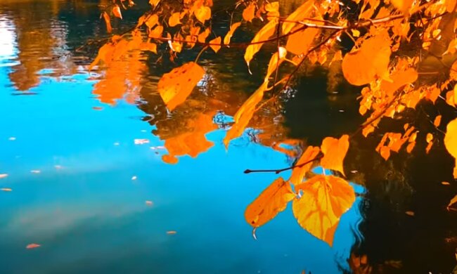 Осень в Украине. Фото: YouTube, скрин