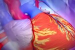Медики назвали симптомы инфаркта, которые можно спутать с другой болезнью