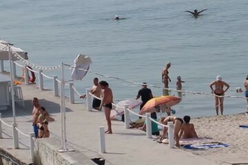 Как правильно оформить отпуск. Фото: скриншот Youtube