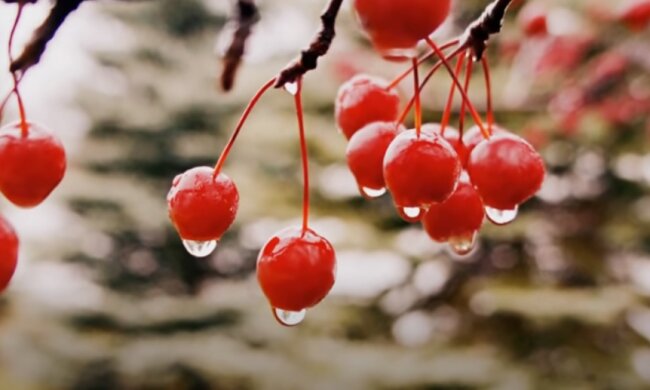 Погода на 5 ноября 2020 года