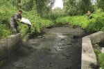 В Киеве озеро превратили в черное болото: вокруг один мазут и погибнет все живое