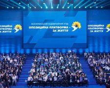 «Оппозиционная платформа — За жизнь»: Вакарчук хочет закрепить внешнее управление США в Украине
