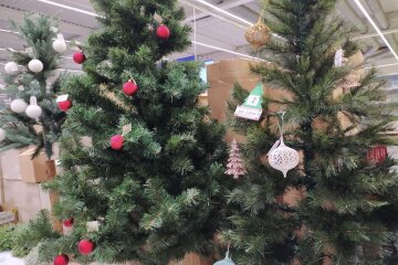 Новогодние елки. Фото: сайт Стена