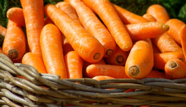 Морква. Фото: YouTube