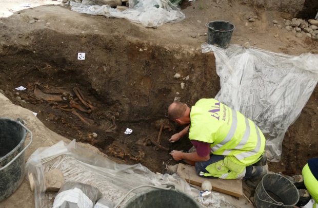 Корабль, собака и конь: археологи наткнулись на редчайшую могилу конунга-викинга
